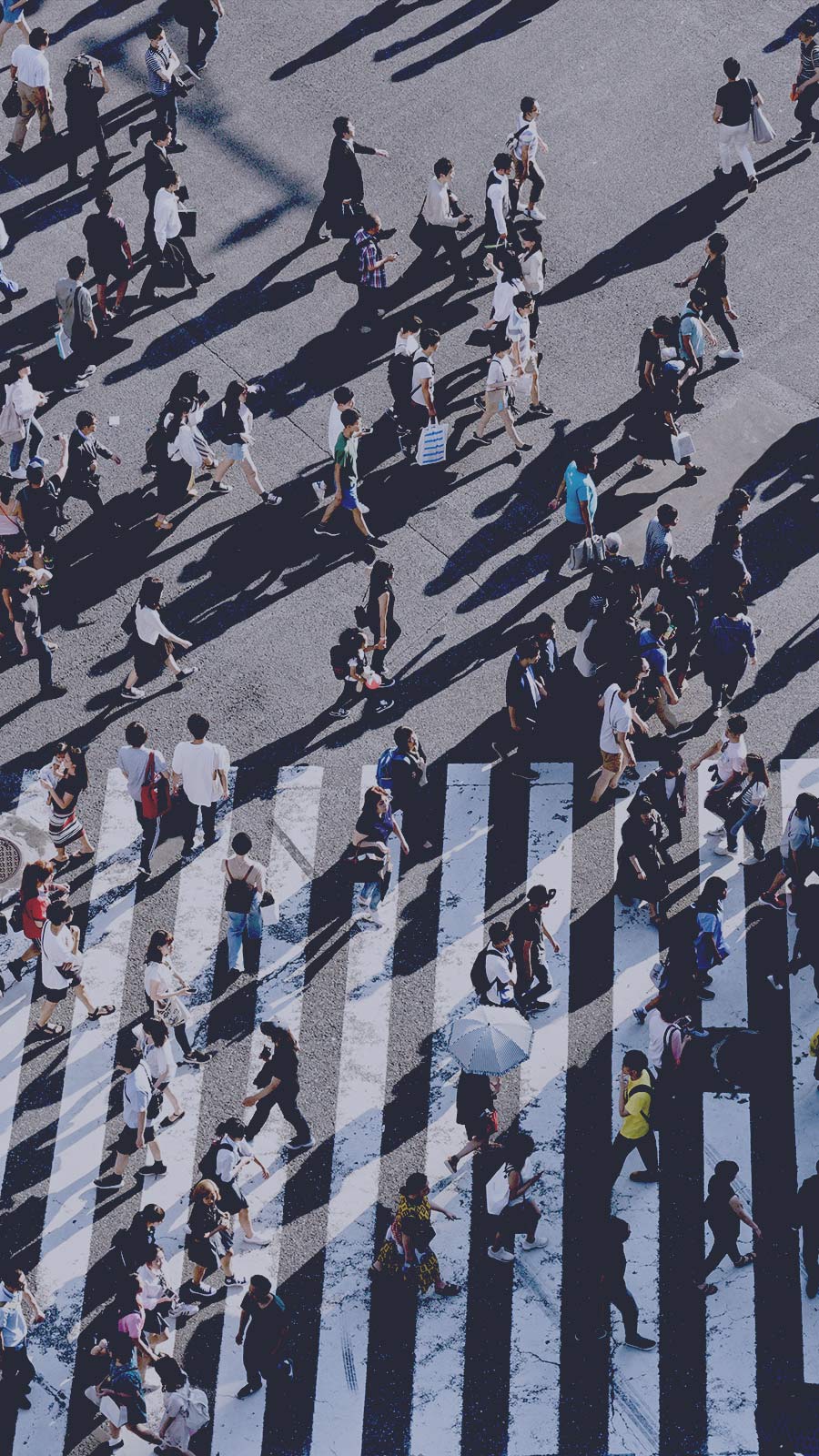 Madre Ventures — investing at the intersection of venture and culture